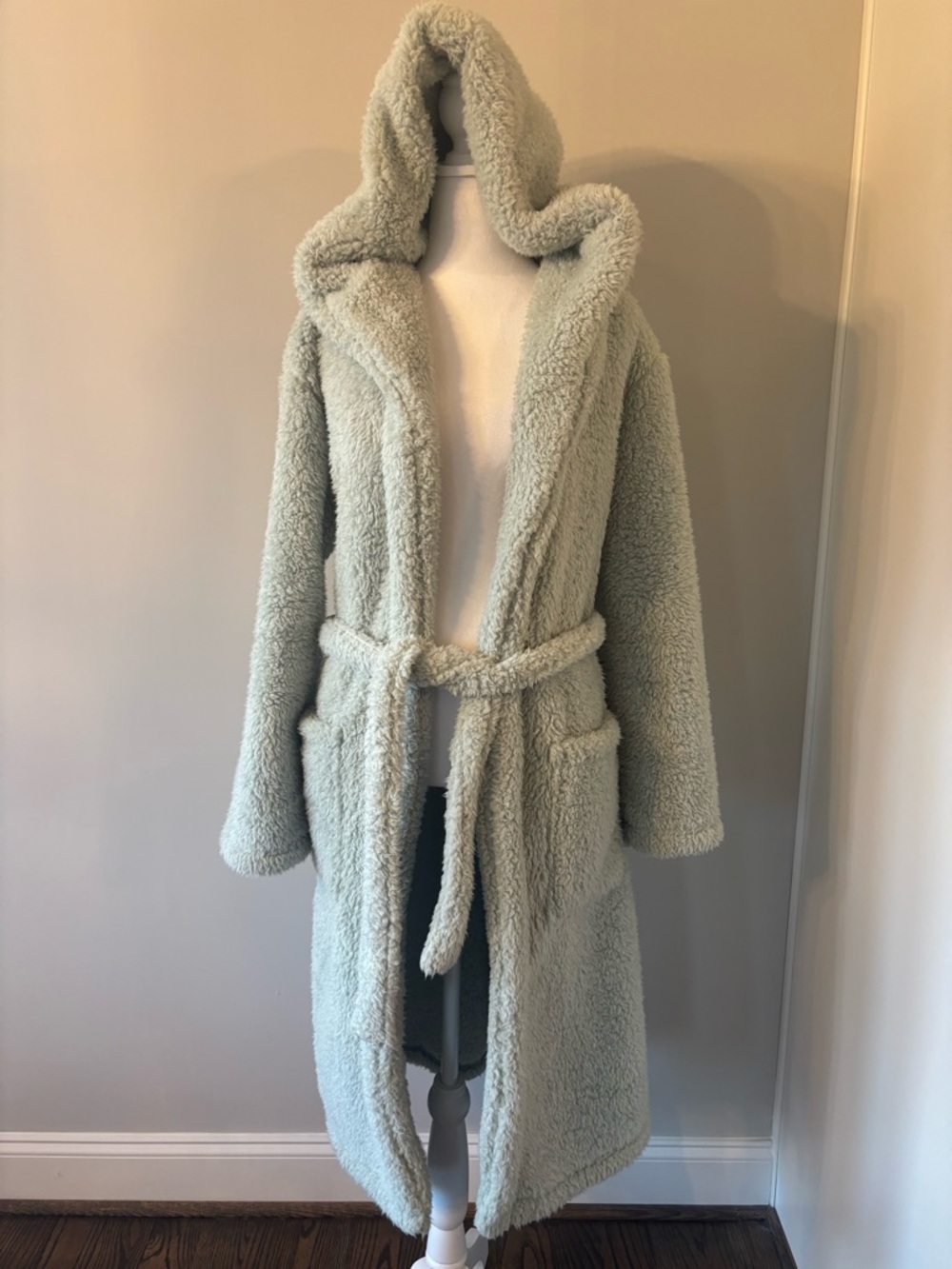 Cozy Hooded Sherpa Coat - Light Sage